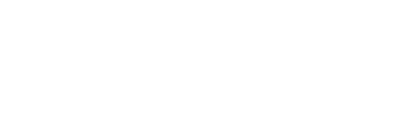 Newton Rome